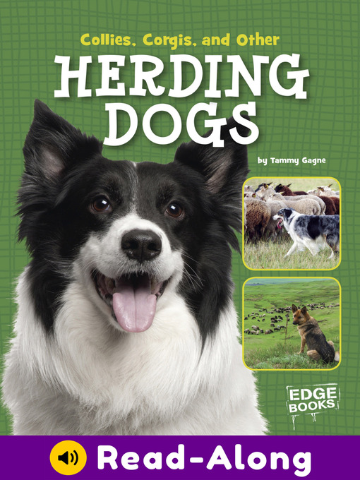 Title details for Collies, Corgies, and Other Herding Dogs by Tammy Gagne - Wait list